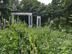 -广东中医药博物馆