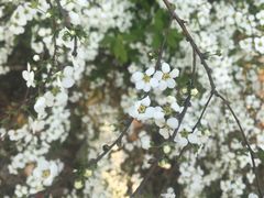 -七十二变量贩KTV(绿地东海岸时代广场店)