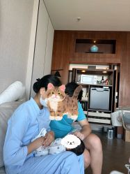 点击看大图 -圣贝拉母婴护理中心(深圳莱佛士店)