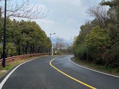 -宝界山林公园