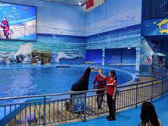 -多彩贵州城极地海洋世界