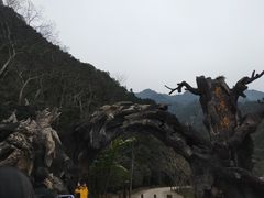 -龙湾潭国家森林公园