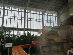 -中家鑫园温泉酒店鑫悦汤泉