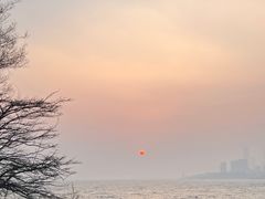 -小麦岛公园