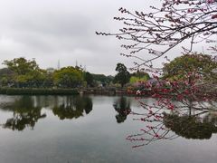 -无锡蠡湖国家湿地公园-蠡园
