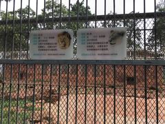 -昆明动物园