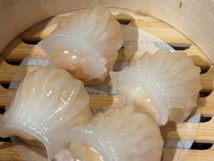 -金鼎轩(方庄天坛店)
