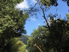 -山沟沟景区