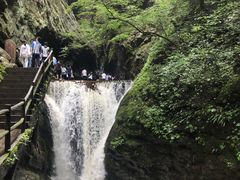 -牛背梁国家森林公园