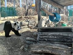 -大连森林动物园