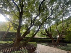 -徐家汇源景区-衡山公园