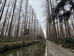 -上海怡沁园度假酒店