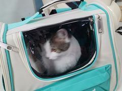 -西安京西宠物医院·瘫痪·疑难杂症