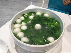 -丁老爷子苏香圆