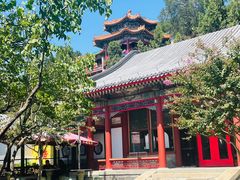 -宫事颐庭·老佛爷贵寿下午茶(颐和园店)