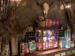 -雪灵魔法世界SHELLY’S TAROT(大良桂畔里店)