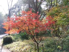 -黄公望隐居地