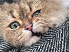 -伴山茶苑·围炉煮茶