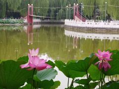 -丰台花园