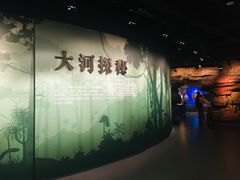 -长江文明馆(武汉自然博物馆)