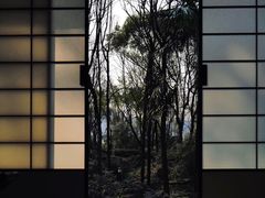 -中国茶叶博物馆(双峰馆区)