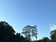 -云溪植物园