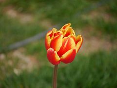 -漩门湾国家湿地公园