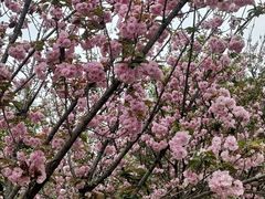 -首开·龙湖成都西宸天街