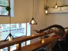 -长颈鹿咖啡(大学路店)