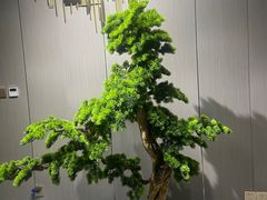 -沐森澜·轻奢足道·养生·SPA