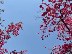 -昆明动物园