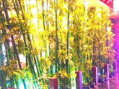 -大四喜火锅(东风路店)