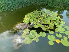 -焦岗湖影视城