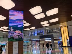 -杭州萧山国际机场