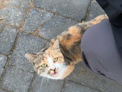 -姥家大锅台水库渔家