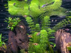 -上海海洋水族馆