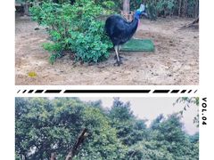 -广州长隆飞鸟乐园