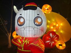 -桐乡凤凰湖
