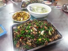 -铁山坪森林公园