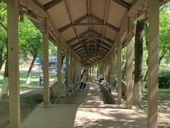 -高尔山公园