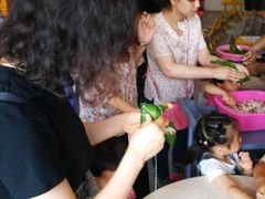 -瑞丁熊原版阅读(大华校区)