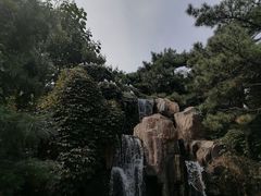 -燕塞湖鸟语林景区