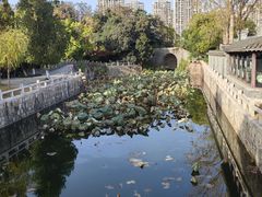 -水绘园