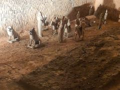 -洛阳古墓博物馆