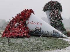 -绿地·中山里