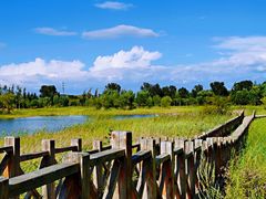 -野鸭湖国家湿地公园