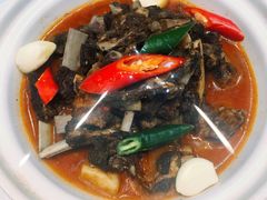 牛腩煨牛筋-闻湘月(桥南市场店)
