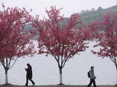 -羊山湖公园