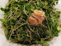 -老阿妈蒙古村·蒙古包·草原文化·歌舞表演(老君堂店)