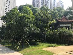 -长沙市青少年宫